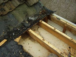 плоская кровля по деревянным балкам 