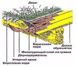 дерновая крыша экстенсивного типа