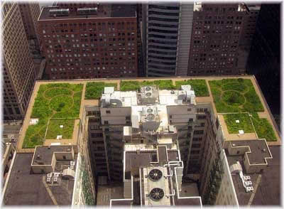 зеленая крыша высотного здания