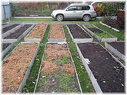 грядки из шифера