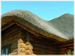 kamyshevaya_krysha