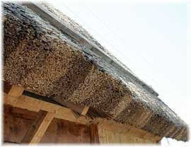 кровля из камыша