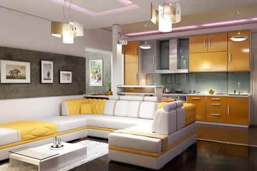 Фото кухни с гостиной