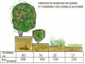 расчетная нагрузка озеленения на кровлю