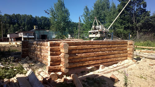 Срубы дома окоренного бревна.Фото