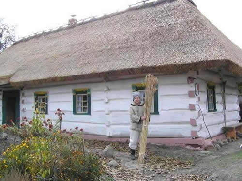 Требования к крышам из тростника