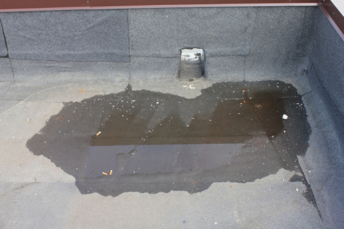 застой воды на кровле