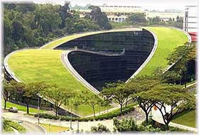 решение для зеленой кровли