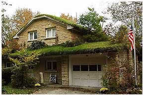 зеленая крыша