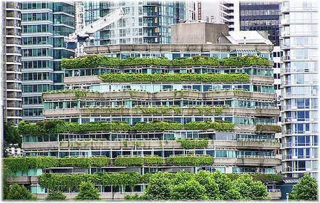 живая кровля на высотном здании